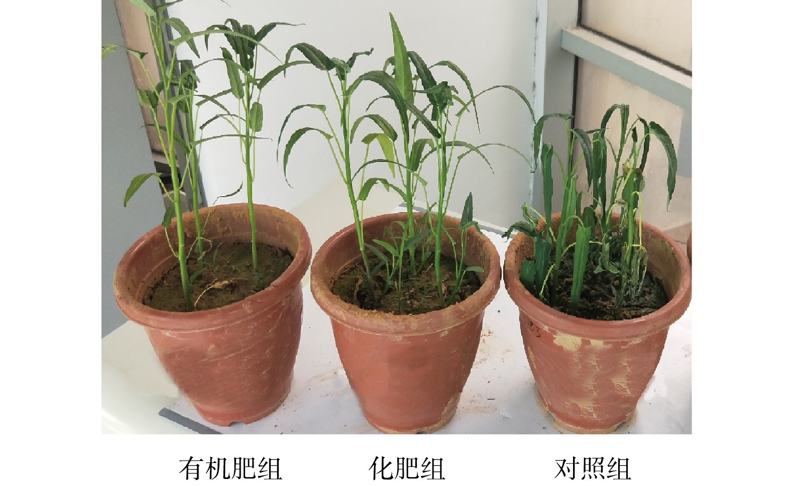 利用新型高温好氧堆肥器提高鸡粪谷壳有机肥肥效