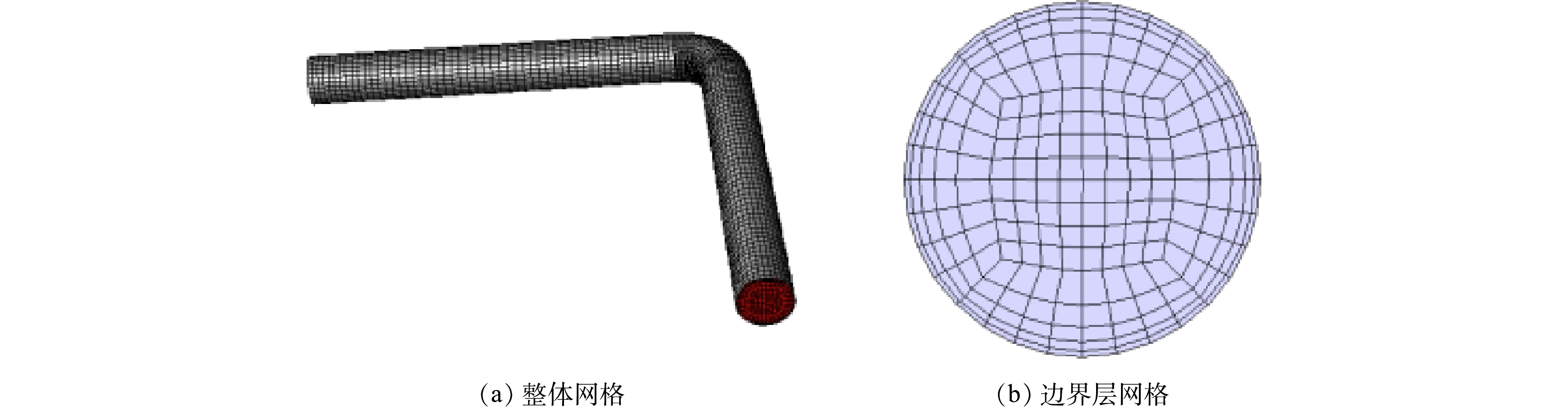 图1 模型整体网格及边界层网格