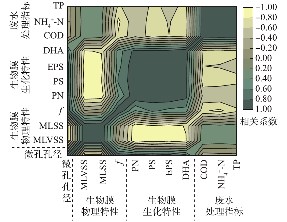 载体内微孔孔径对生物膜特性及废水处理效果的影响