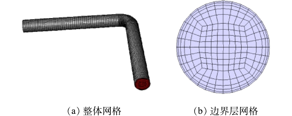 图 1 模型整体网格及边界层网格