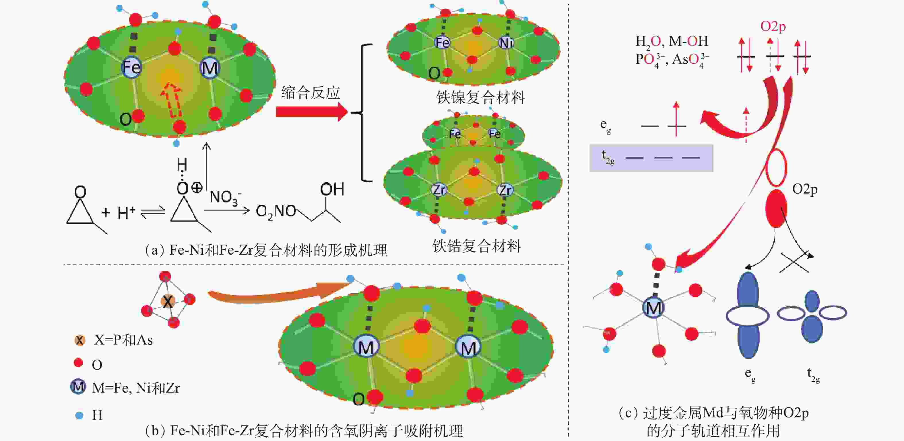 图6 fe-ni和fe-zr复合材料的形成及其含氧阴离子吸附机理